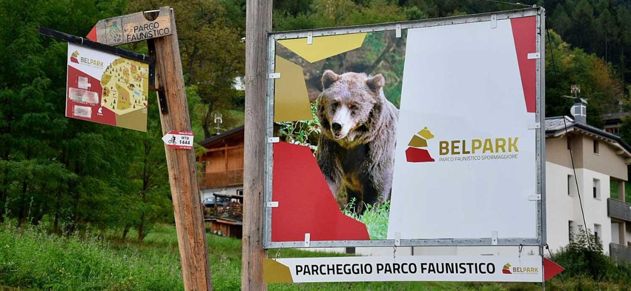 Appartamento Tulipano Andalo Kültér fotó